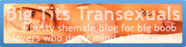 BigTitsTransexuals.com