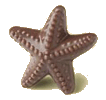 Chocolate Starfish